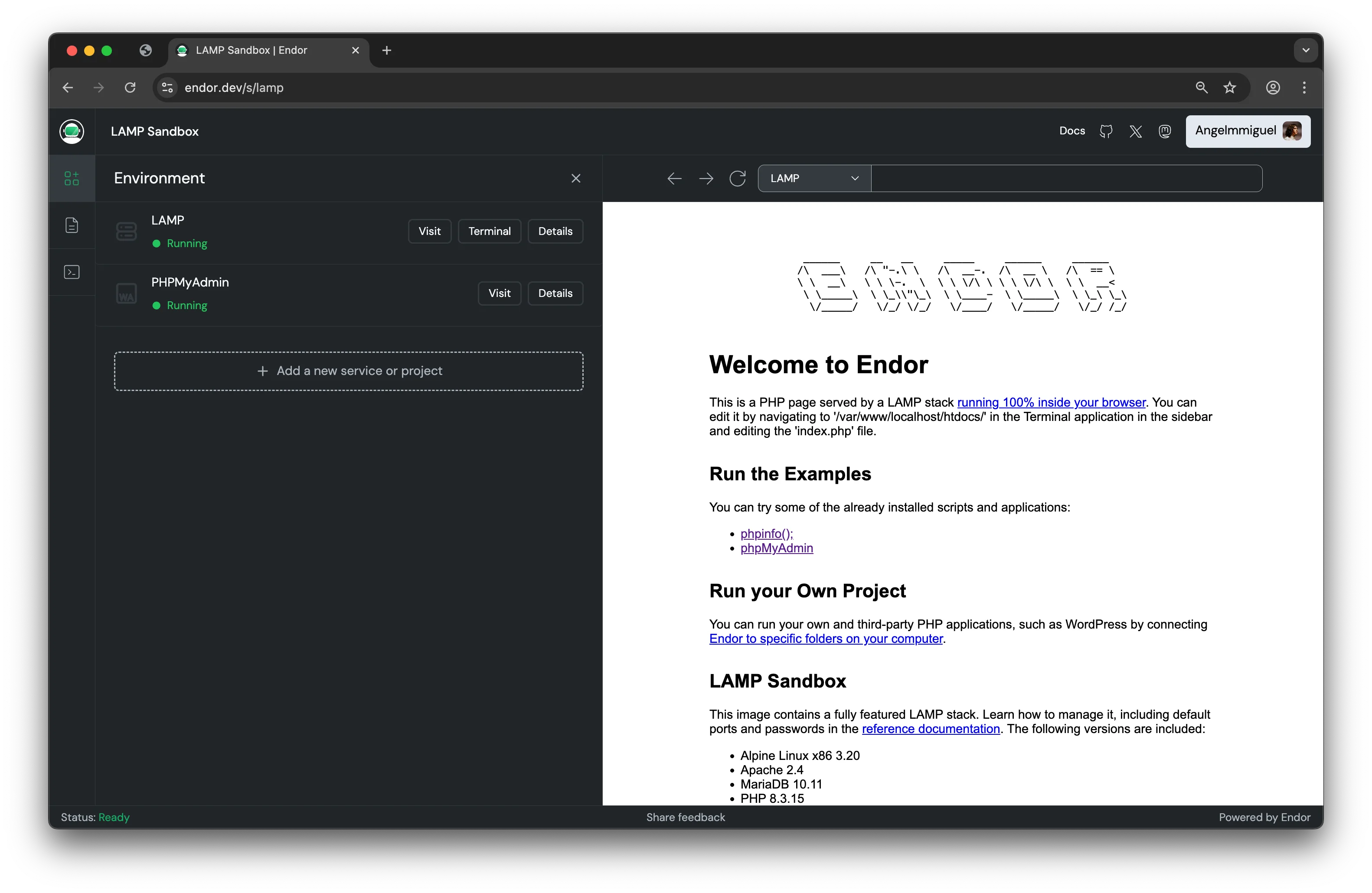 Endor sandbox screenshot showing a PHP script and a MariaDB database running in the browser